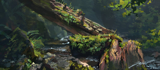 Fallen Log